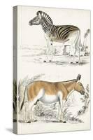 Journal of Natural History V-Georges Cuvier-Stretched Canvas