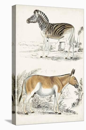 Journal of Natural History V-Georges Cuvier-Stretched Canvas