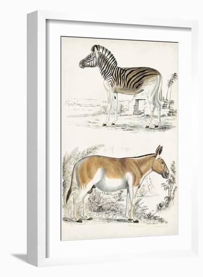 Journal of Natural History V-Georges Cuvier-Framed Art Print