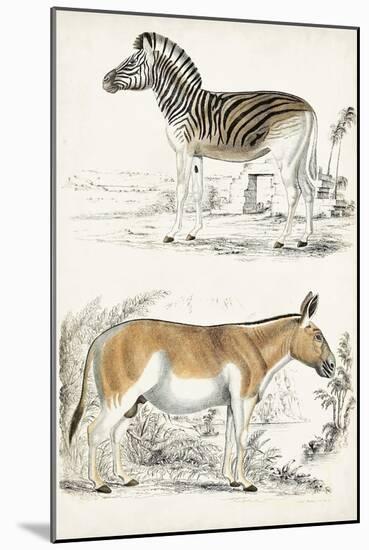 Journal of Natural History V-Georges Cuvier-Mounted Art Print