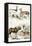 Journal of Natural History VI-Georges Cuvier-Framed Stretched Canvas