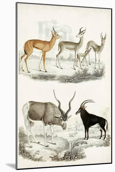Journal of Natural History VIII-Georges Cuvier-Mounted Art Print
