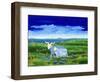 Journey in the Blue-Magdolna Ban-Framed Giclee Print