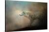 Journey of the Timber Wolf-Jai Johnson-Stretched Canvas