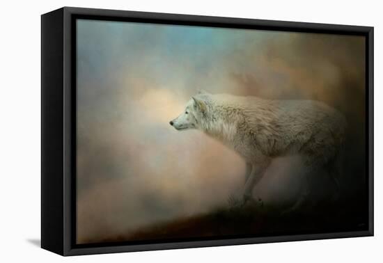 Journey of the Timber Wolf-Jai Johnson-Framed Stretched Canvas