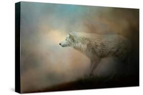 Journey of the Timber Wolf-Jai Johnson-Stretched Canvas