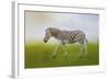 Journey of the Zebra-Jai Johnson-Framed Giclee Print