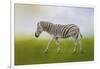 Journey of the Zebra-Jai Johnson-Framed Giclee Print