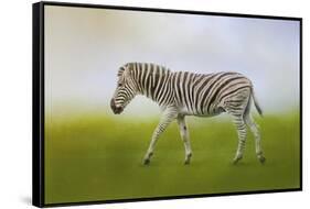 Journey of the Zebra-Jai Johnson-Framed Stretched Canvas