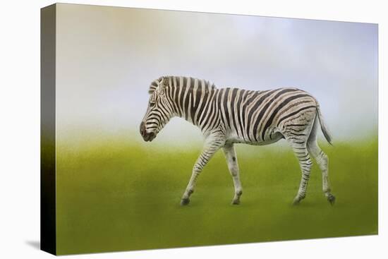 Journey of the Zebra-Jai Johnson-Stretched Canvas