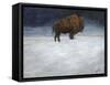 Journey Through the Snow I-Kathy Winkler-Framed Stretched Canvas