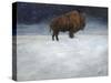 Journey Through the Snow I-Kathy Winkler-Stretched Canvas