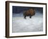 Journey Through the Snow I-Kathy Winkler-Framed Art Print