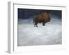 Journey Through the Snow I-Kathy Winkler-Framed Art Print
