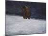 Journey Through the Snow II-Kathy Winkler-Mounted Art Print