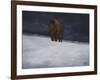 Journey Through the Snow II-Kathy Winkler-Framed Art Print