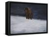 Journey Through the Snow II-Kathy Winkler-Framed Stretched Canvas