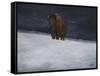 Journey Through the Snow II-Kathy Winkler-Framed Stretched Canvas