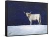 Journey Through the Snow III-Kathy Winkler-Framed Stretched Canvas