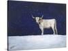 Journey Through the Snow III-Kathy Winkler-Stretched Canvas