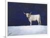 Journey Through the Snow III-Kathy Winkler-Framed Art Print