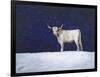 Journey Through the Snow III-Kathy Winkler-Framed Art Print