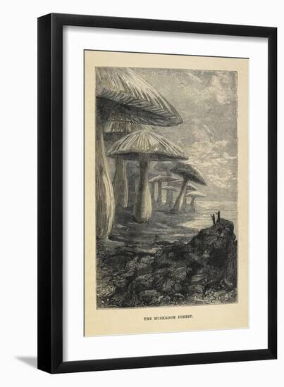 Journey To the Centre Of the Earth-null-Framed Premium Giclee Print