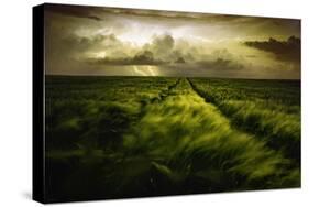 Journey to the Fierce Storm-Sona Buchelova-Stretched Canvas