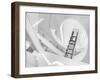 Journey to the Light-Jeroen Van-Framed Photographic Print