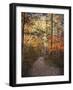 Journey Within-Jai Johnson-Framed Giclee Print