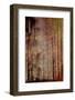 Journey Without End-Jacob Berghoef-Framed Photographic Print