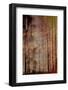 Journey Without End-Jacob Berghoef-Framed Photographic Print