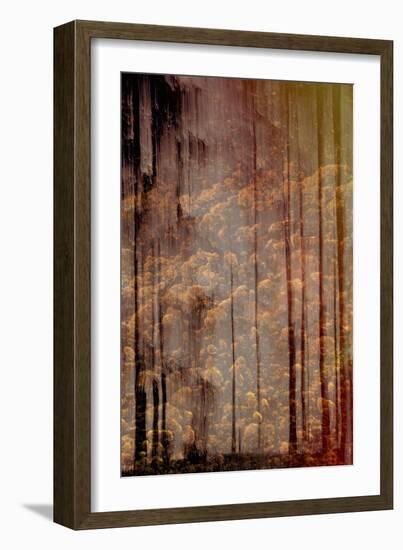 Journey Without End-Jacob Berghoef-Framed Photographic Print