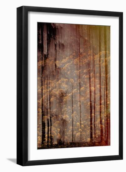 Journey Without End-Jacob Berghoef-Framed Photographic Print