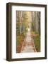 Journey-Michael Hudson-Framed Art Print