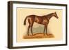 Jouvence-L. Penicaut-Framed Premium Giclee Print