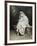 Joven Dama En Un Jardin-Raimundo Madrazo-Framed Giclee Print