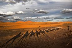 Through the Dunes of Merzouga (Morocco).-Joxe Inazio-Photographic Print