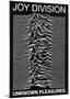 Joy Division punk Poster Unknown Pleasures Ian Curtis-null-Mounted Poster