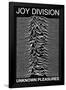 Joy Division punk Poster Unknown Pleasures Ian Curtis-null-Framed Poster