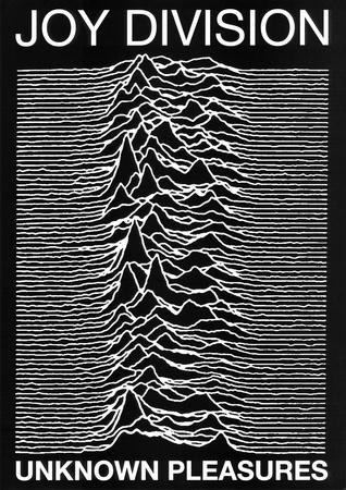 Joy Division punk Poster Unknown Pleasures Ian Curtis' Photo