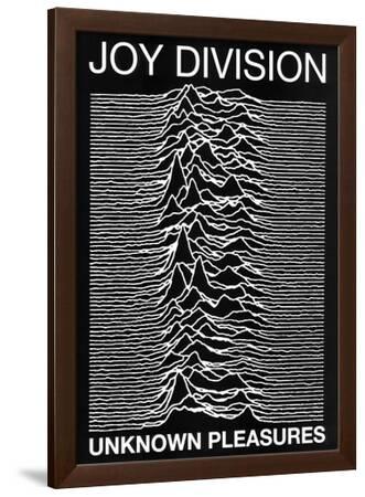 Joy Division punk Poster Unknown Pleasures Ian Curtis' Photo