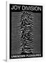 Joy Division Unknown Pleasures-null-Framed Poster