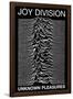 Joy Division Unknown Pleasures-null-Framed Poster