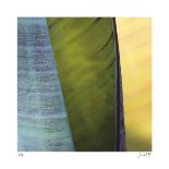 Banana Leaves I-Joy Doherty-Giclee Print