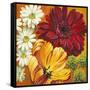 Joy Flowers-Jenaya Jackson-Framed Stretched Canvas