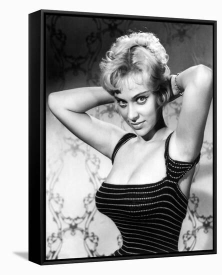 Joy Harmon-null-Framed Stretched Canvas