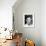 Joy House, (AKA Les Felins), Alain Delon, 1964-null-Framed Photo displayed on a wall