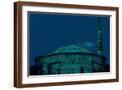 Brown Frame