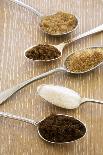Spoonfuls of Various Sugars-Joy Skipper FoodStyling-Photographic Print